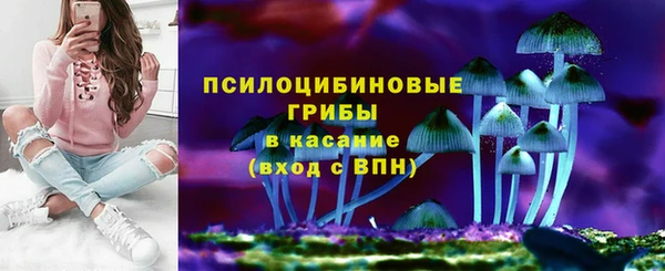 прущая мука Алзамай