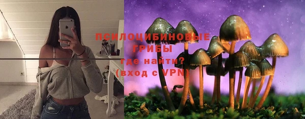 бошки Абаза