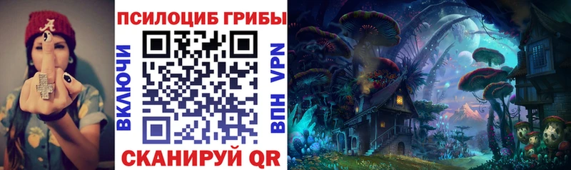 Псилоцибиновые грибы MAGIC MUSHROOMS  darknet состав  Горячеводский  где можно купить  